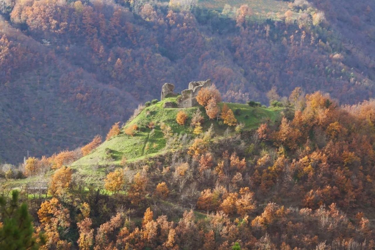 B&B Latordicella Castel del Rio Екстер'єр фото