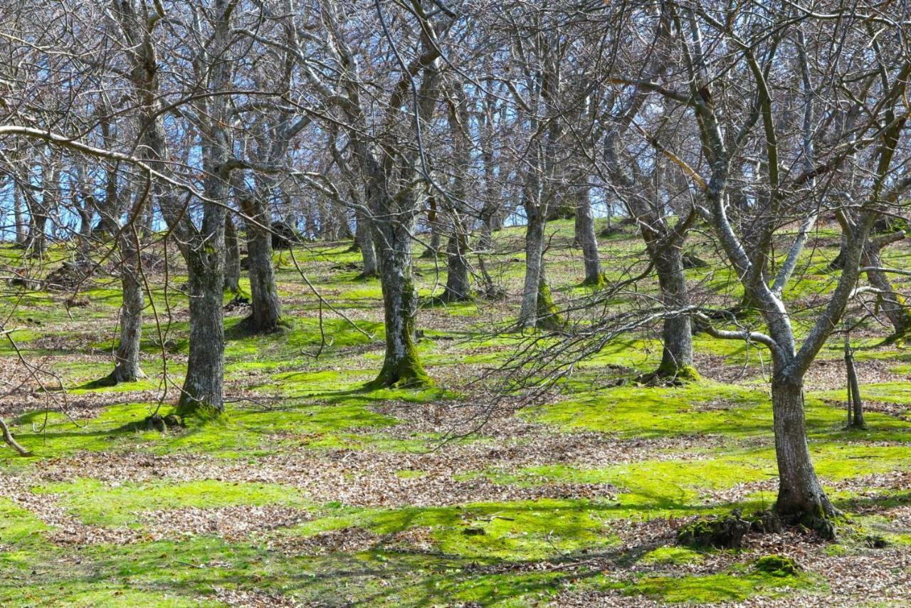 B&B Latordicella Castel del Rio Екстер'єр фото